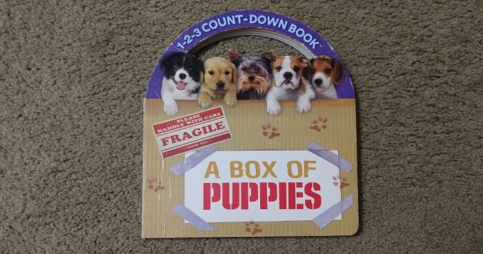 1-2-3 Count-Down Book: A Box of Puppies