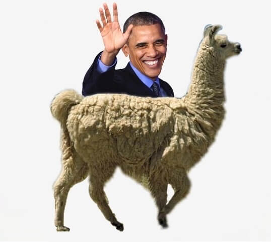 Obama on a Llama